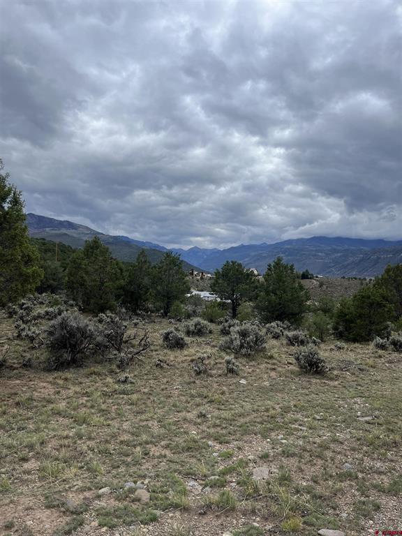 Tbd Terrace Drive Ridgway CO 81432
