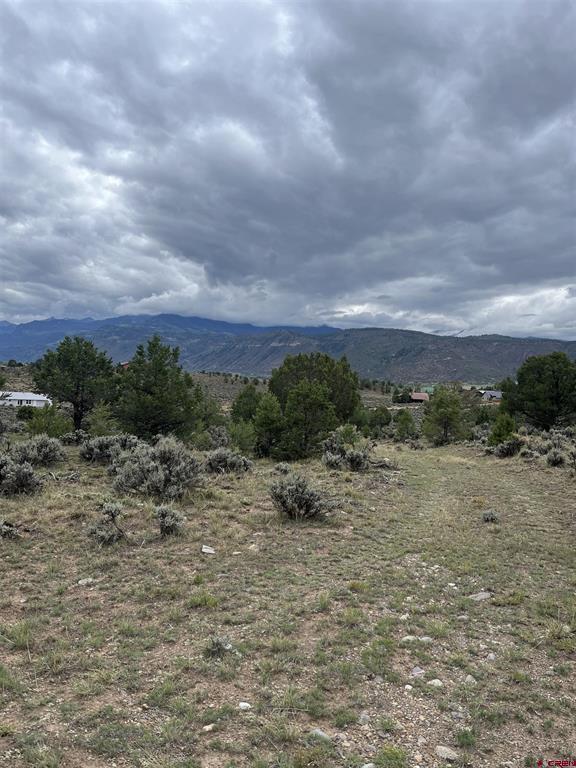 Tbd Terrace Drive Ridgway CO 81432
