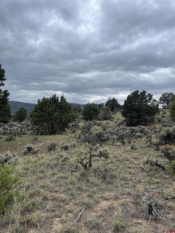 Tbd Terrace Drive Ridgway CO 81432