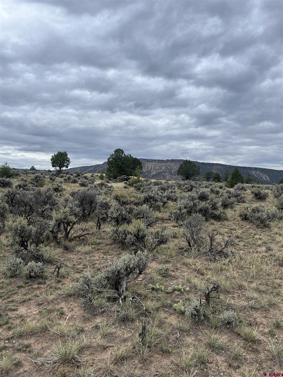 Tbd Terrace Drive Ridgway CO 81432