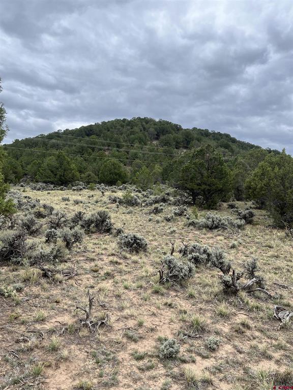 Tbd Terrace Drive Ridgway CO 81432