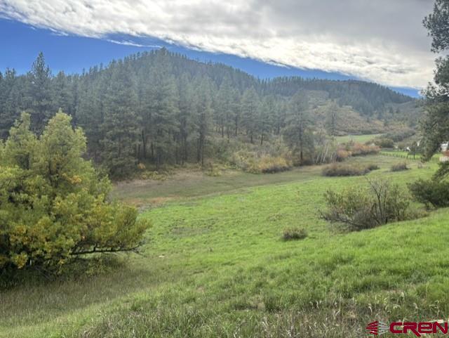 182 And 188 Little Bear Drive Bayfield CO 81122
