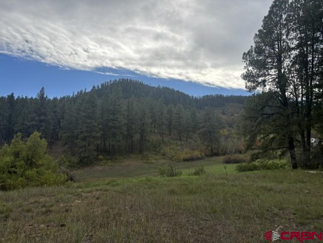 182 And 188 Little Bear Drive Bayfield CO 81122