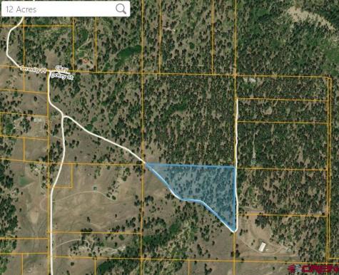 X Catchpole Pagosa Springs CO 81147