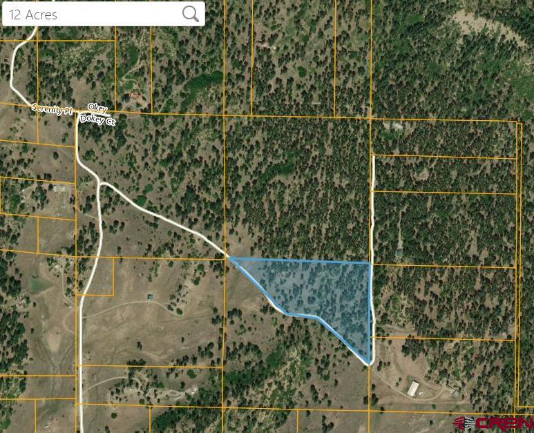 X Catchpole Drive Pagosa Springs CO 81147