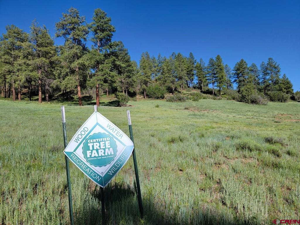 X Catchpole Drive Pagosa Springs CO 81147