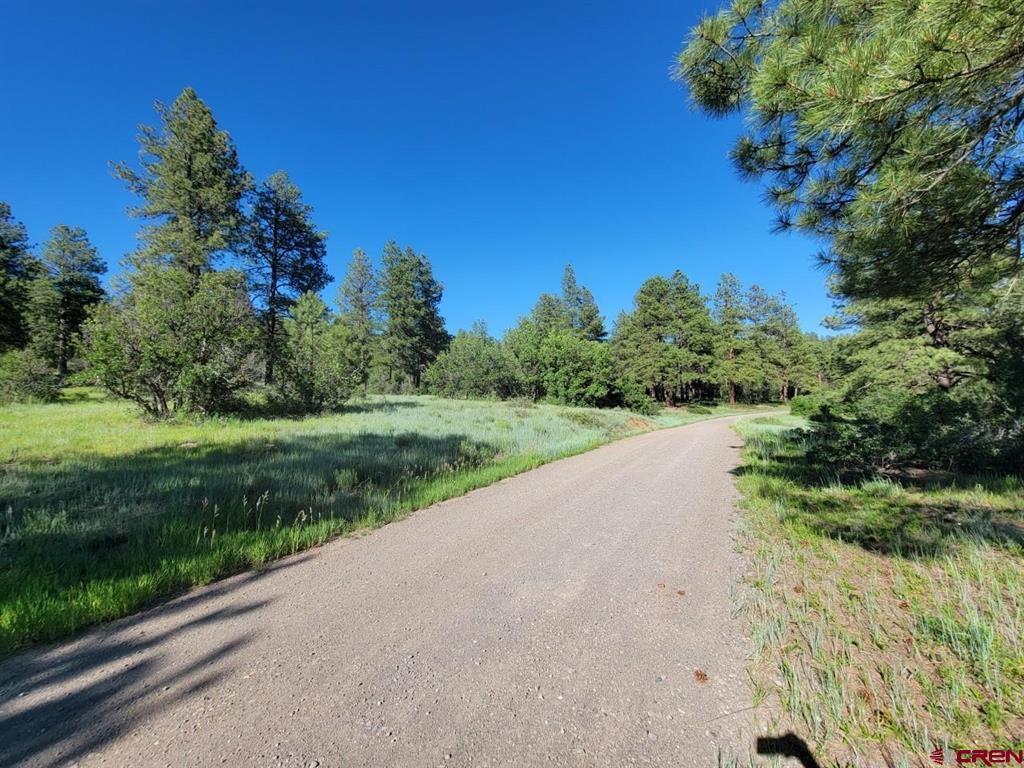 X Catchpole Drive Pagosa Springs CO 81147