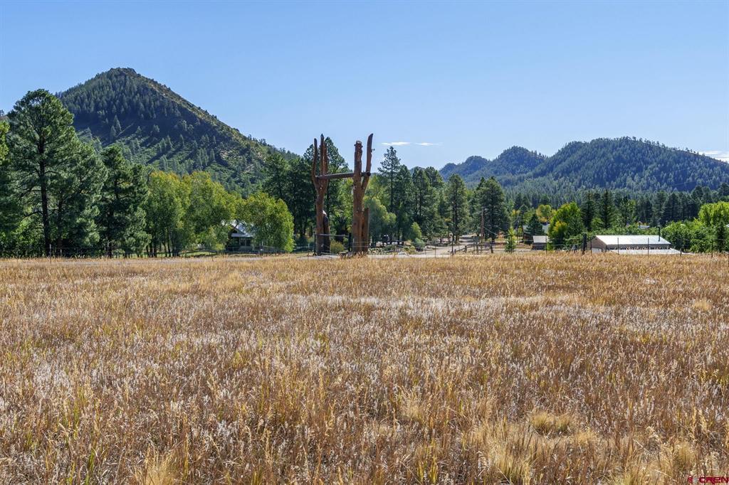 Lot 33 Pine River Ranch Circle Bayfield CO 81122