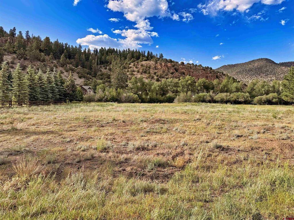 365 Landon South Fork CO 81154