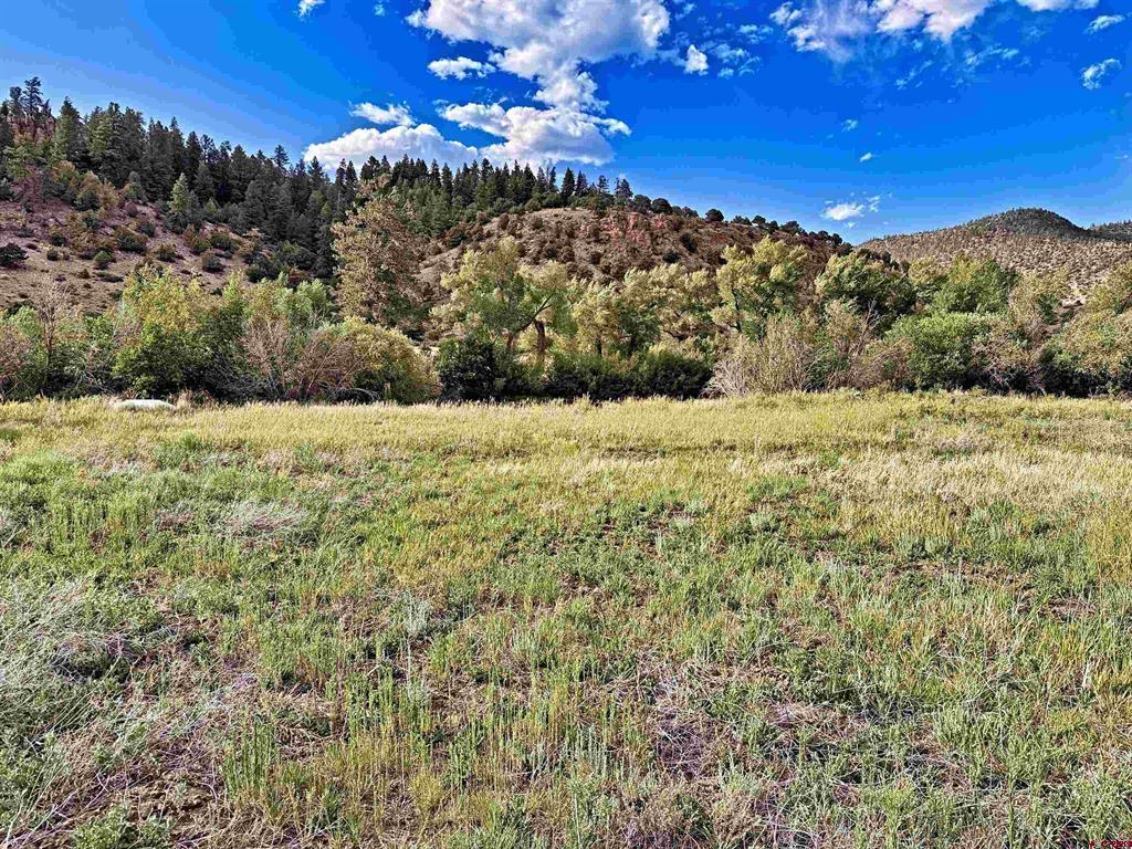 365 Landon South Fork CO 81154