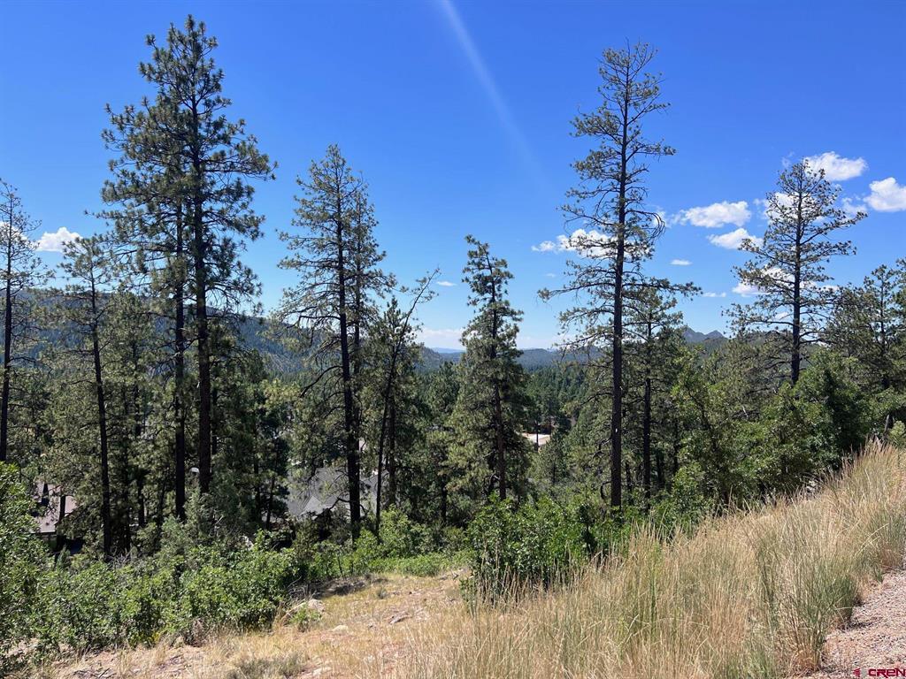 767 Red Canyon Trail Durango CO 81301