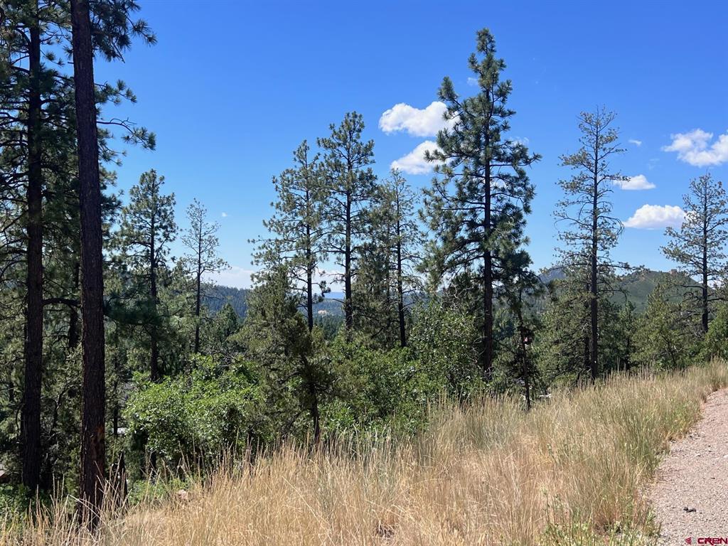 767 Red Canyon Trail Durango CO 81301