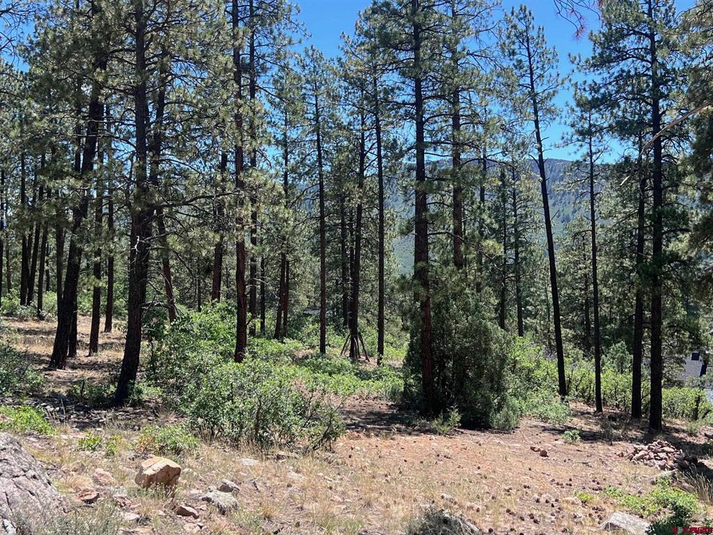 767 Red Canyon Trail Durango CO 81301