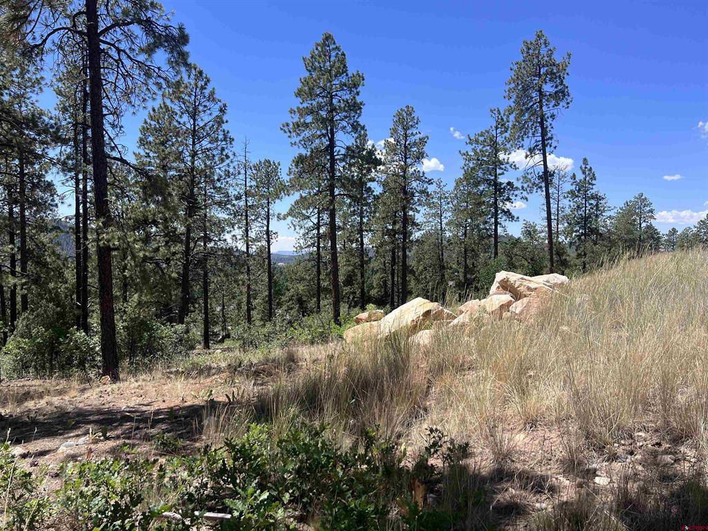 767 Red Canyon Trail Durango CO 81301