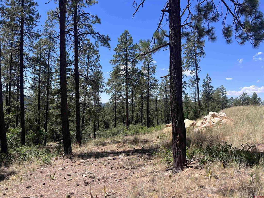 767 Red Canyon Trail Durango CO 81301