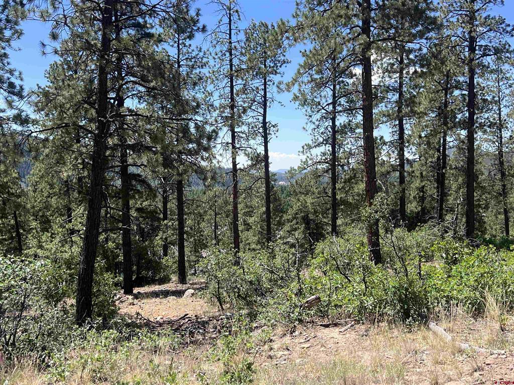 767 Red Canyon Trail Durango CO 81301
