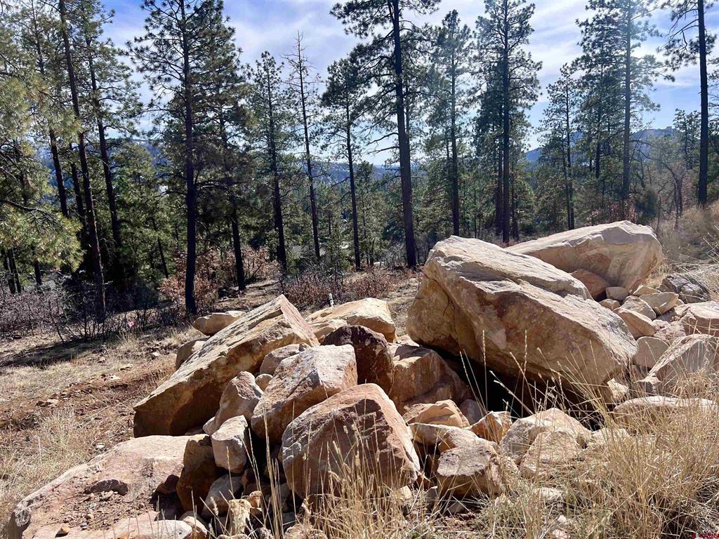 767 Red Canyon Trail Durango CO 81301