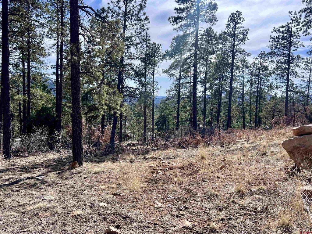 767 Red Canyon Trail Durango CO 81301