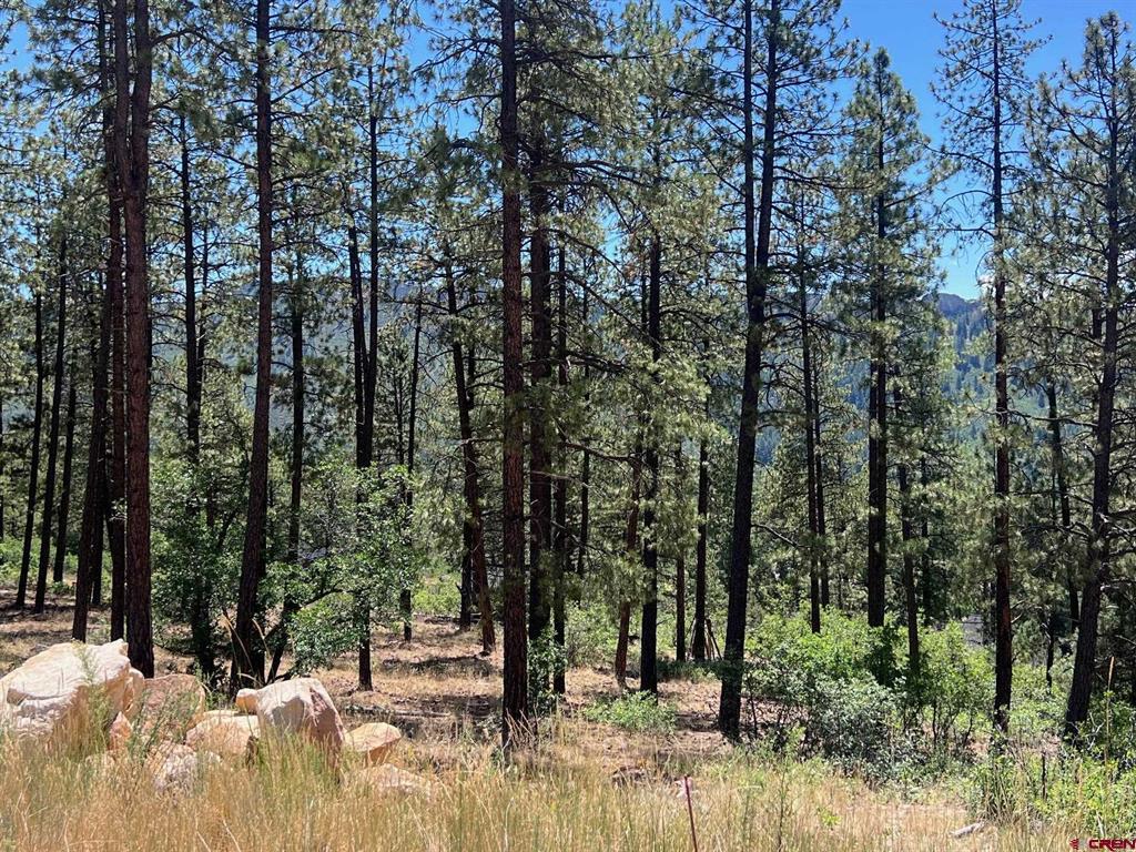 767 Red Canyon Trail Durango CO 81301