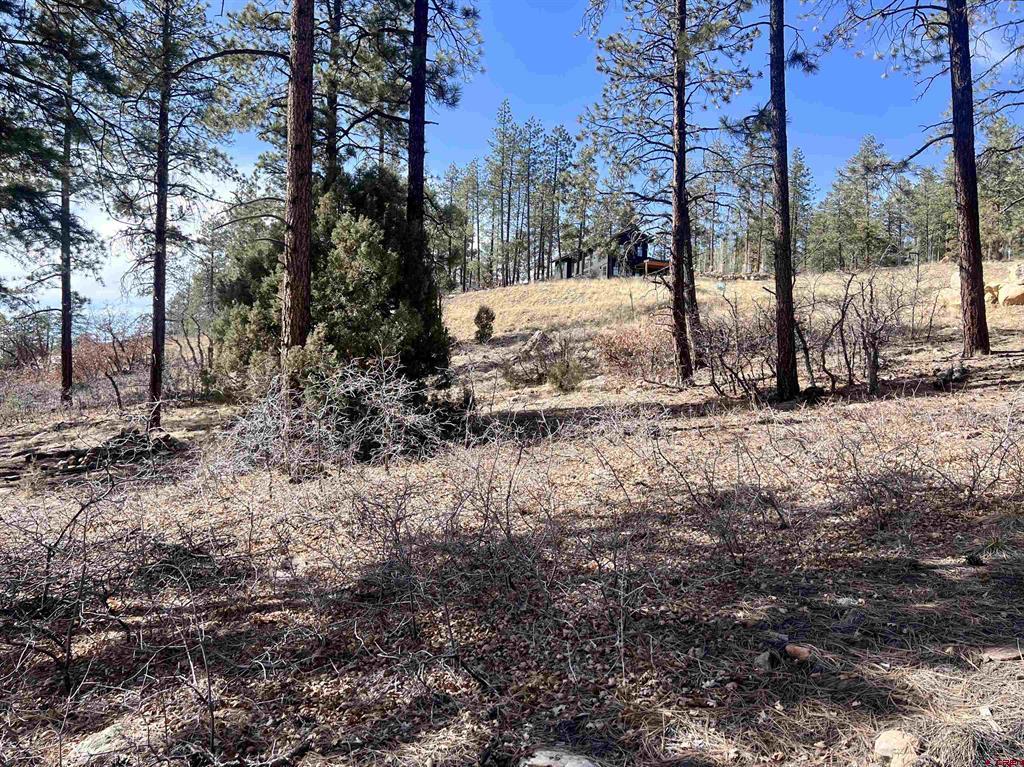 767 Red Canyon Trail Durango CO 81301