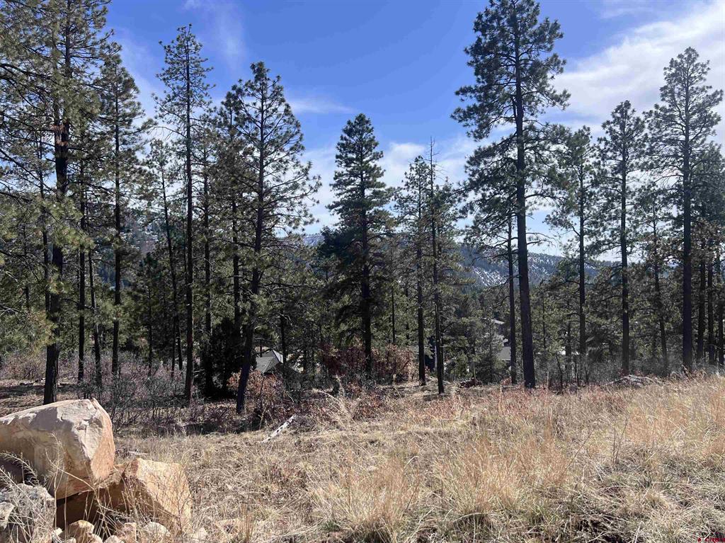 767 Red Canyon Trail Durango CO 81301