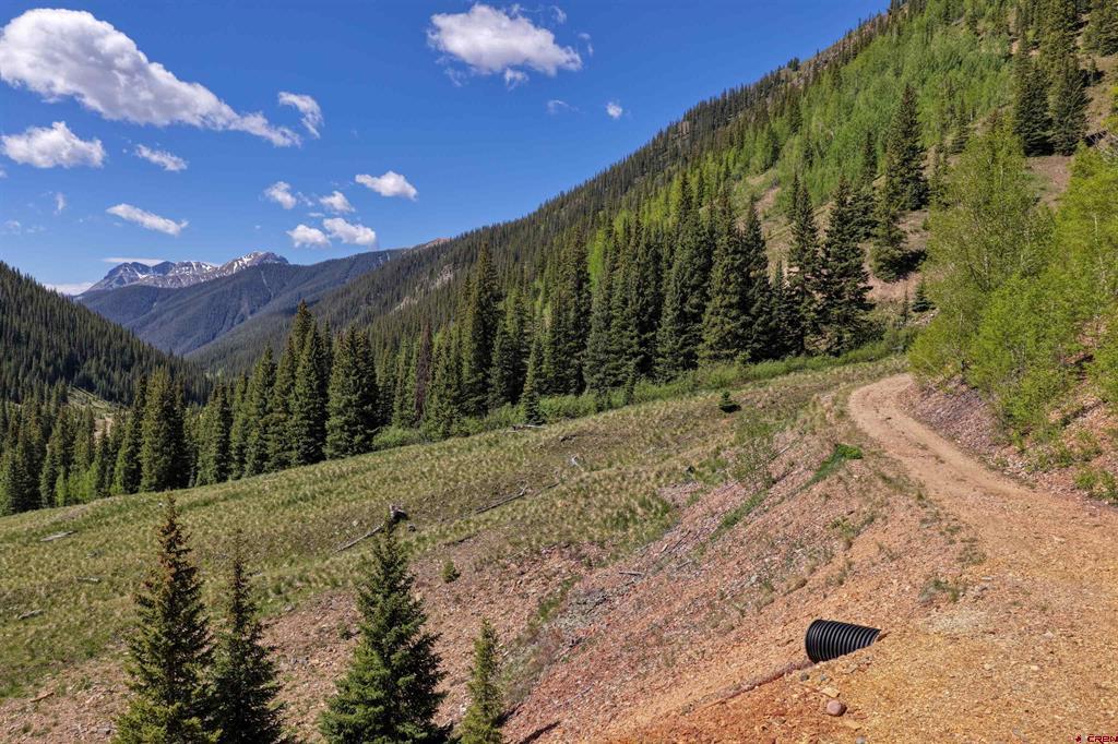 Tbd Road 62 Silverton CO 81433