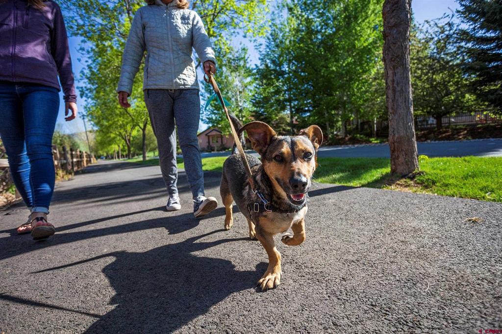 30 Elkview Court Durango CO 81301