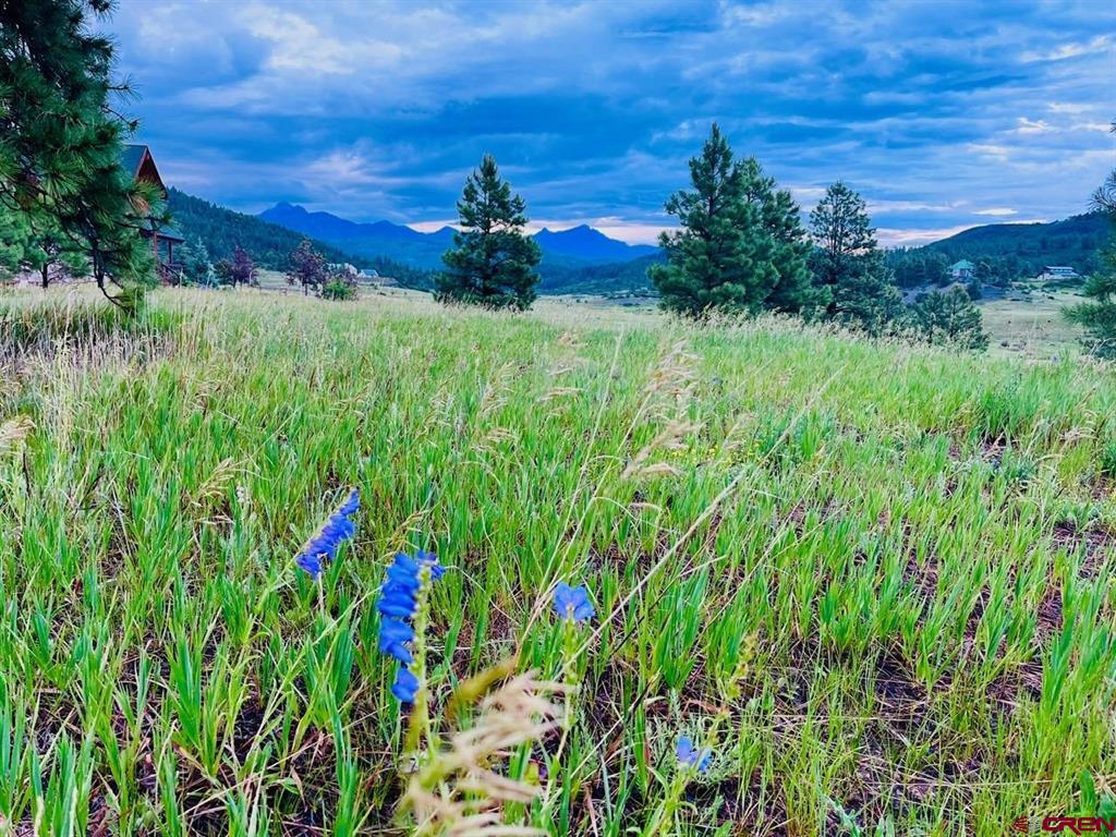 119 La Ventana Place Pagosa Springs CO 81147