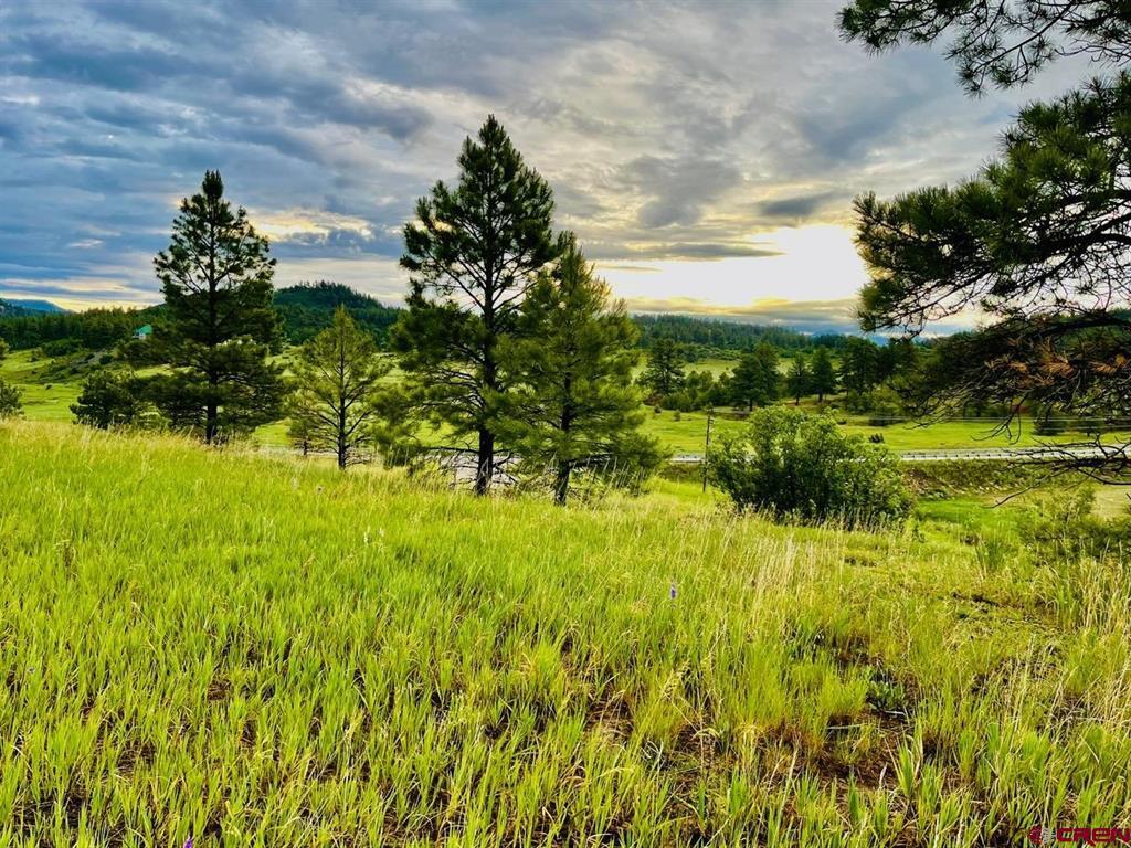 119 La Ventana Place Pagosa Springs CO 81147