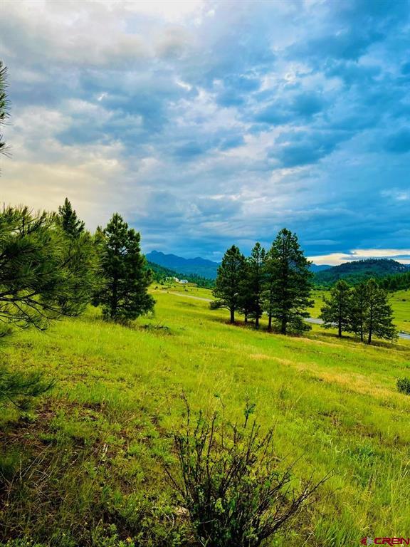 119 La Ventana Place Pagosa Springs CO 81147