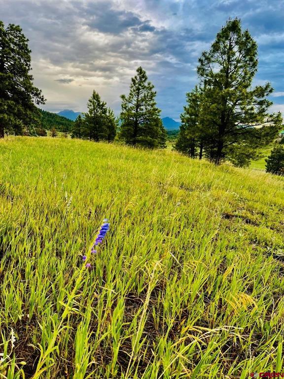 119 La Ventana Place Pagosa Springs CO 81147