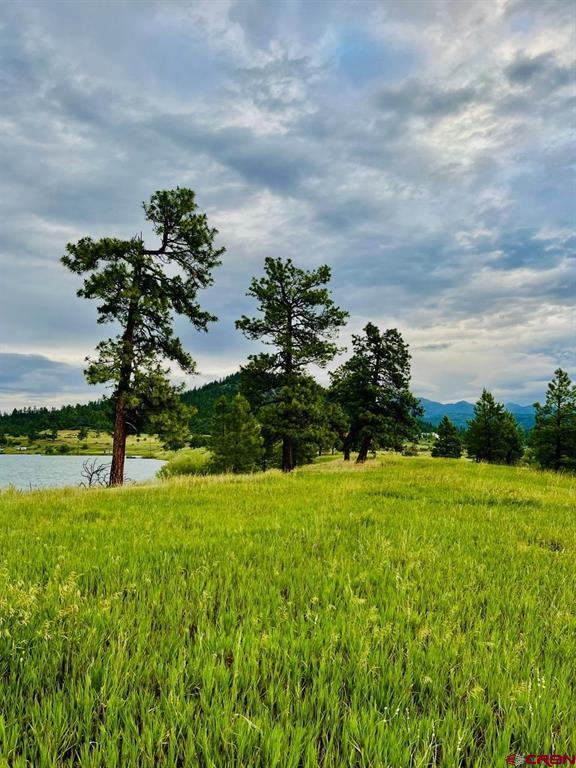 119 La Ventana Place Pagosa Springs CO 81147