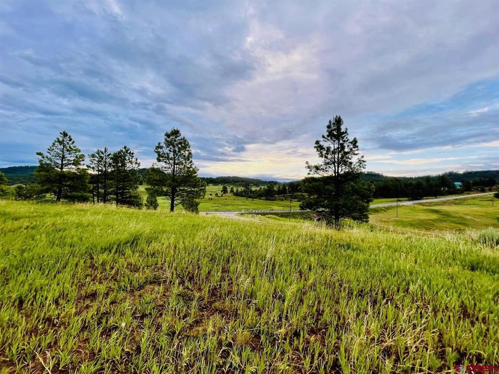 119 La Ventana Place Pagosa Springs CO 81147