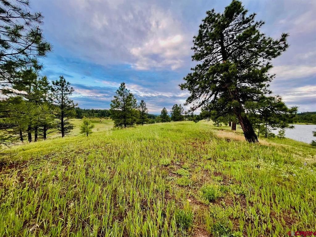 119 La Ventana Place Pagosa Springs CO 81147