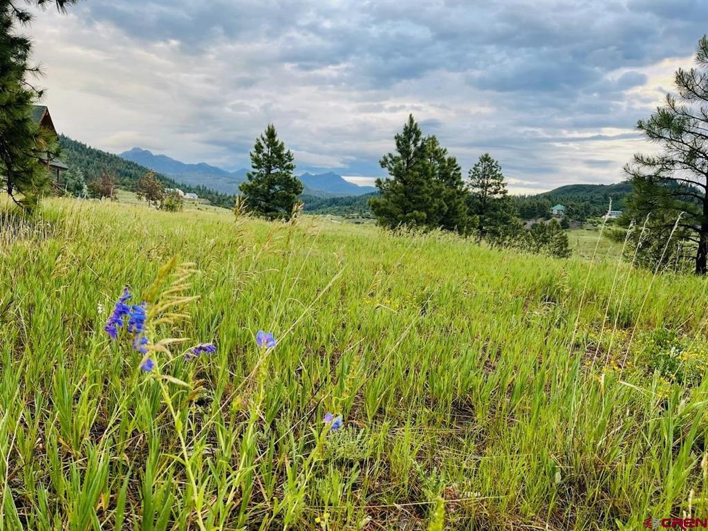 119 La Ventana Place Pagosa Springs CO 81147