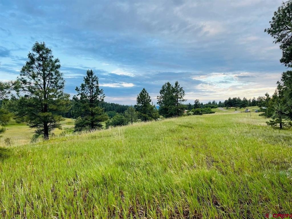 119 La Ventana Place Pagosa Springs CO 81147