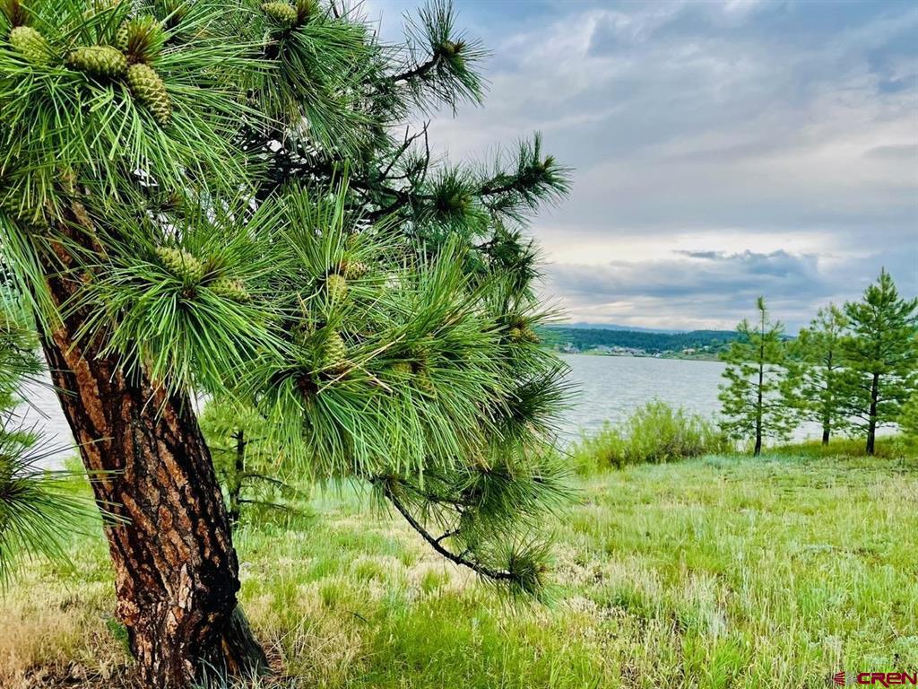 119 La Ventana Place Pagosa Springs CO 81147