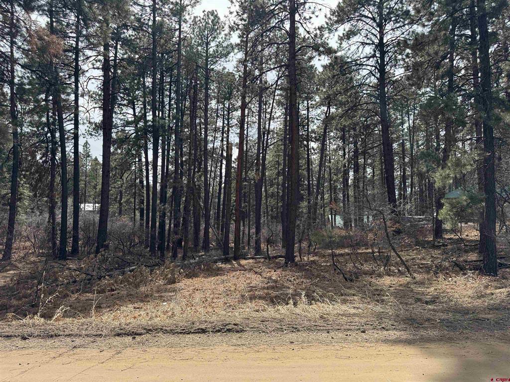 102 E Valley View Drive Bayfield CO 81122