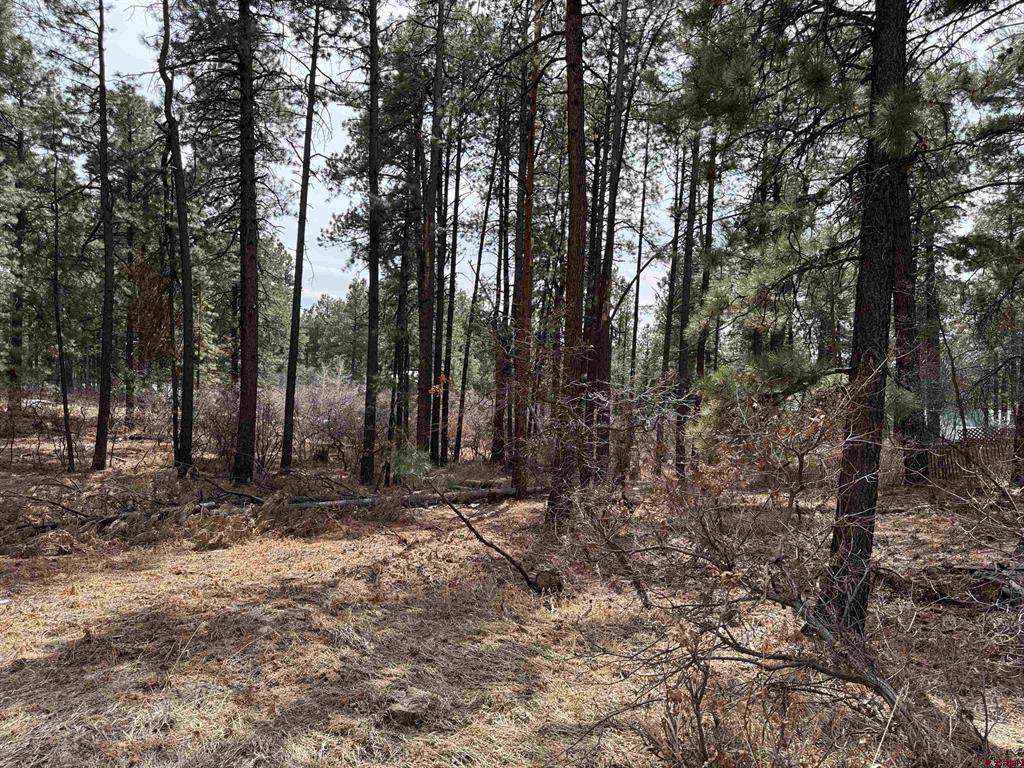 102 E Valley View Drive Bayfield CO 81122