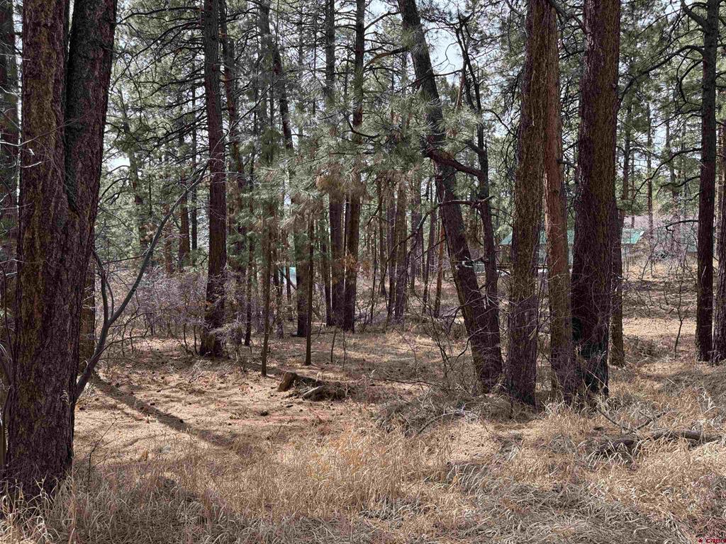 102 E Valley View Drive Bayfield CO 81122