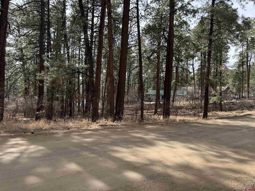 102 E Valley View Drive Bayfield CO 81122