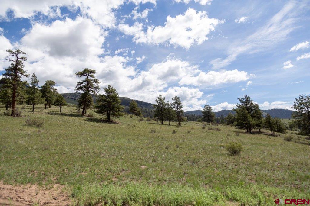 645 Cliff View Drive Creede CO 81130