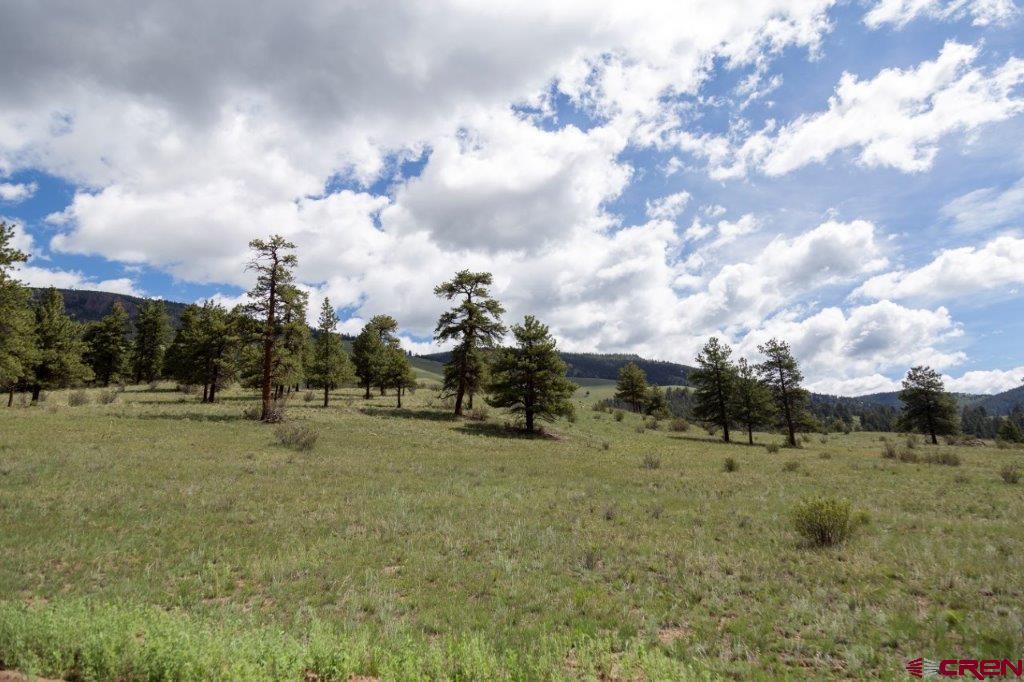 645 Cliff View Drive Creede CO 81130
