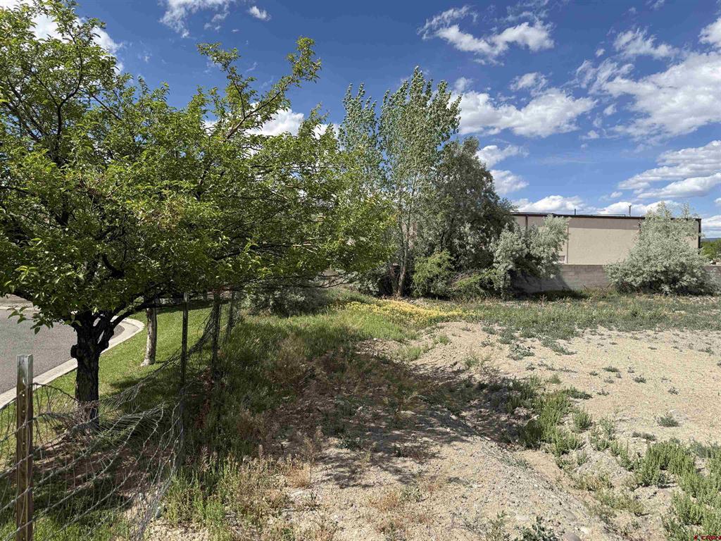 1595 E Oak Grove Road Montrose CO 81401