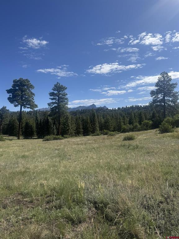 1231 Henry's Lake Drive Pagosa Springs CO 81147