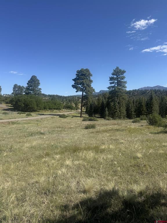 1231 Henry's Lake Drive Pagosa Springs CO 81147