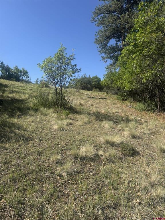 1231 Henry's Lake Drive Pagosa Springs CO 81147