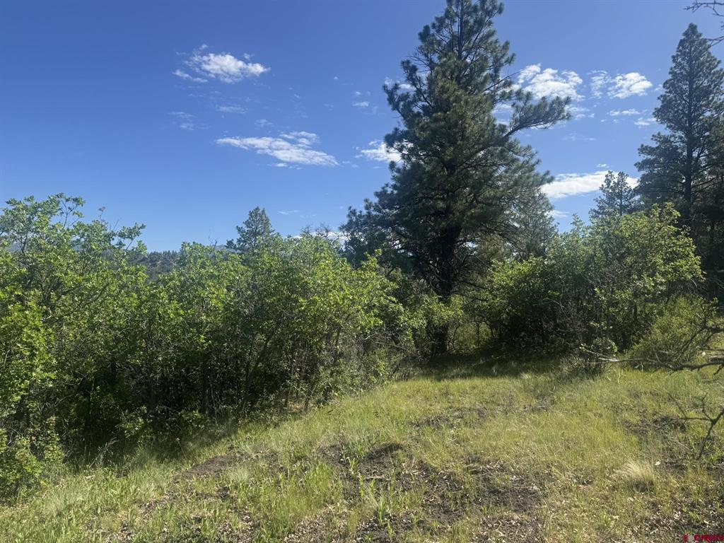 1231 Henry's Lake Drive Pagosa Springs CO 81147