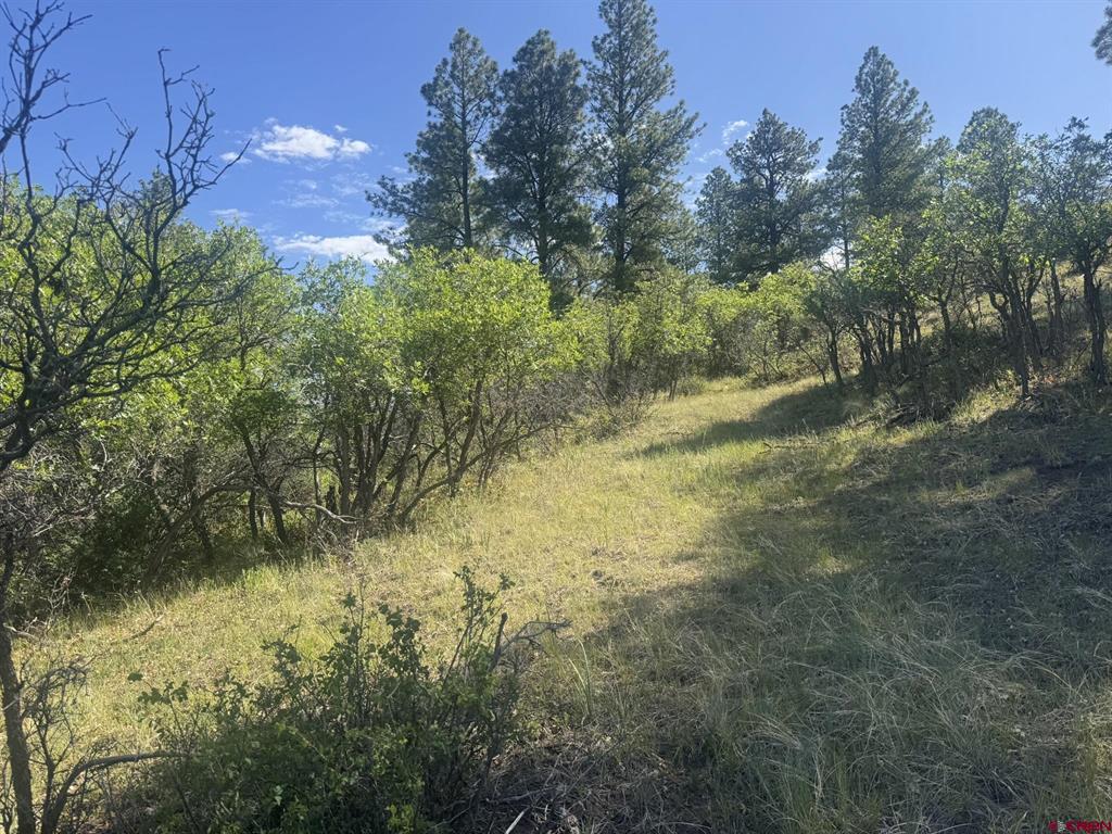 1231 Henry's Lake Drive Pagosa Springs CO 81147