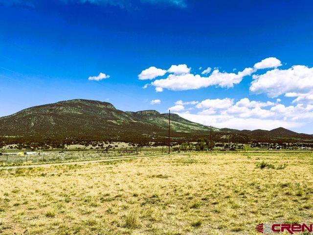 738 Pfeiffer Parkway South Fork CO 81154